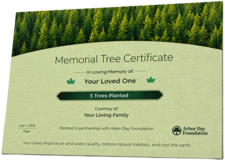 Plant Trees in Memory of Richard Jones